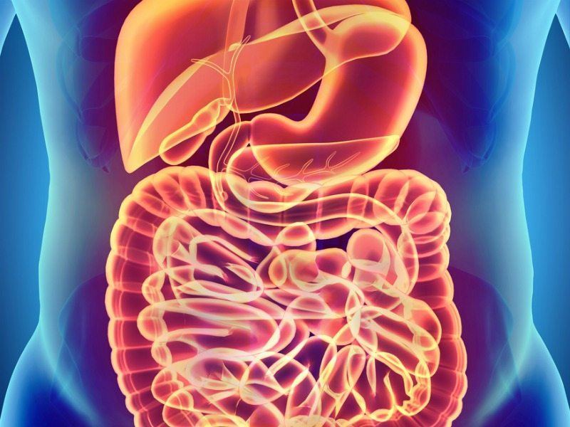 Crohn-betegség kezelése probiotikumokkal | Hogyan segíthetnek? 1